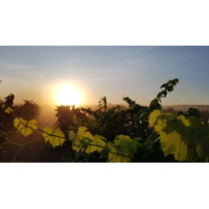 Prisbaskeren - Smagekasse