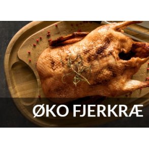 Økologisk fjerkræ fra Gothenborg | Prisvindende dansk kvalitetsfjerkræ når det er bedst